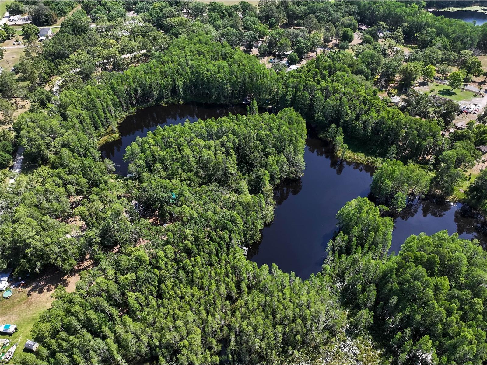 19832 Westwood Lane Land O Lakes FL 34638 O6329356 image13