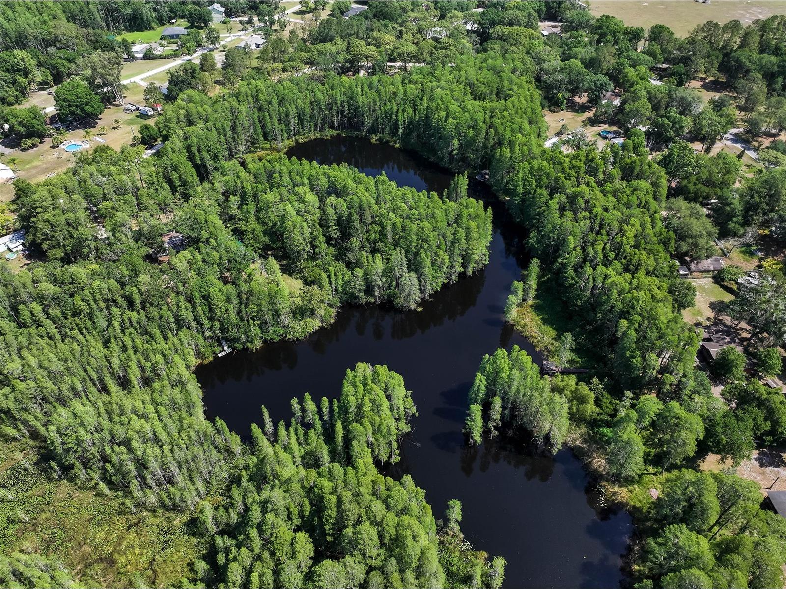 19832 Westwood Lane Land O Lakes FL 34638 O6329356 image14