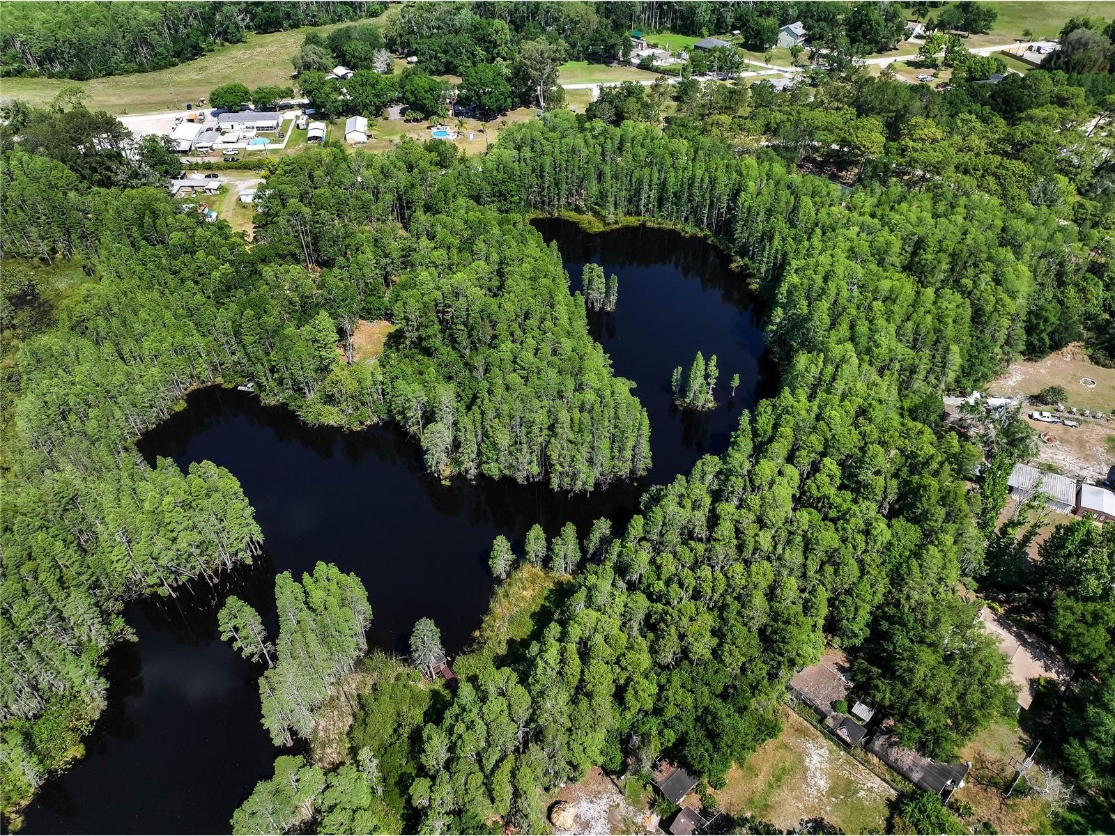 19832 Westwood Lane Land O Lakes FL 34638 O6329356 image16