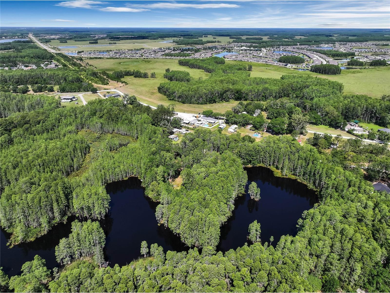 19832 Westwood Lane Land O Lakes FL 34638 O6329356 image17