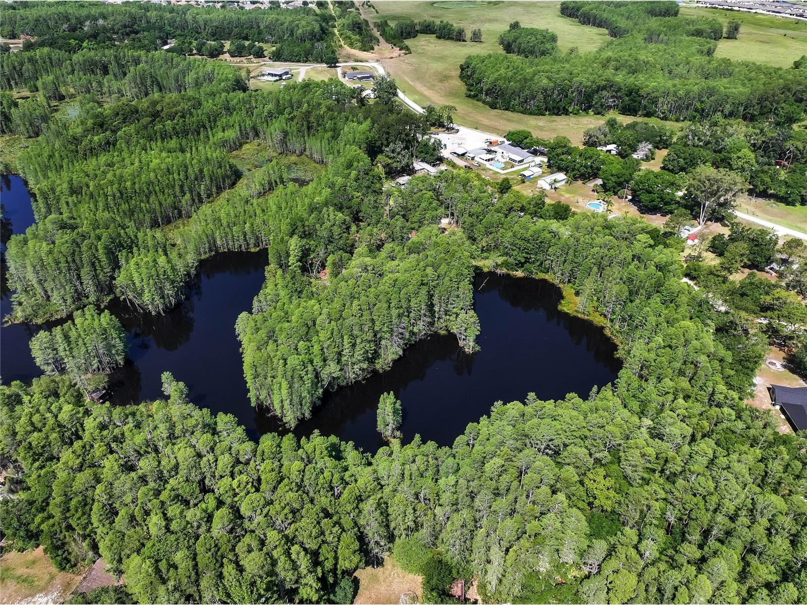 19832 Westwood Lane Land O Lakes FL 34638 O6329356 image18