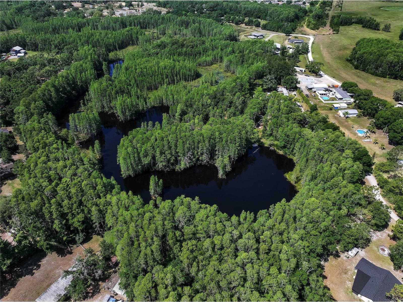 19832 Westwood Lane Land O Lakes FL 34638 O6329356 image19