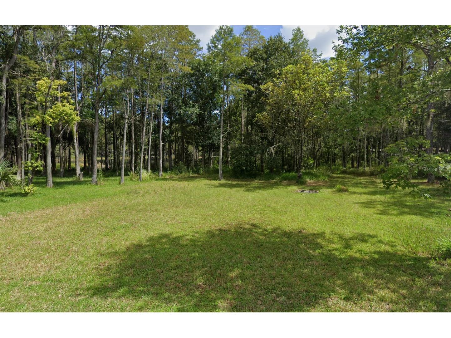 19832 Westwood Lane Land O Lakes FL 34638 O6329356 image2