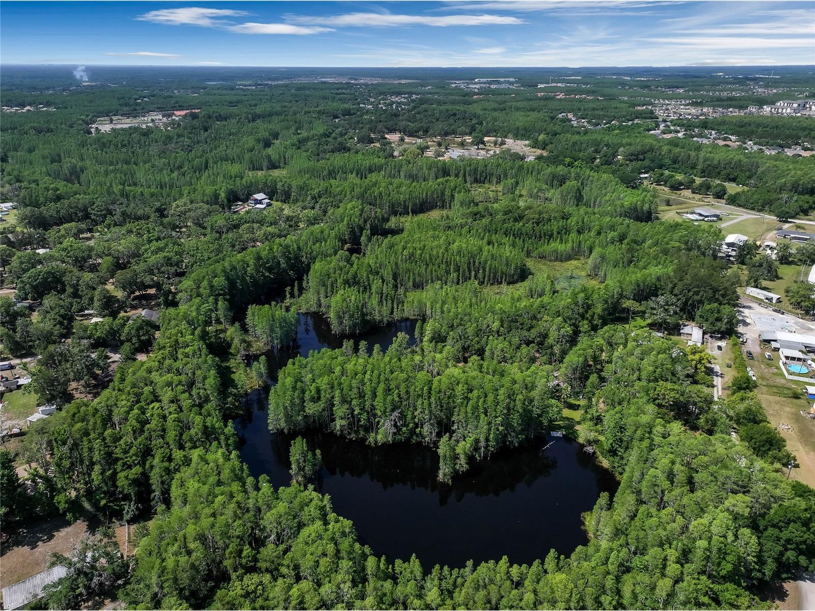 19832 Westwood Lane Land O Lakes FL 34638 O6329356 image20