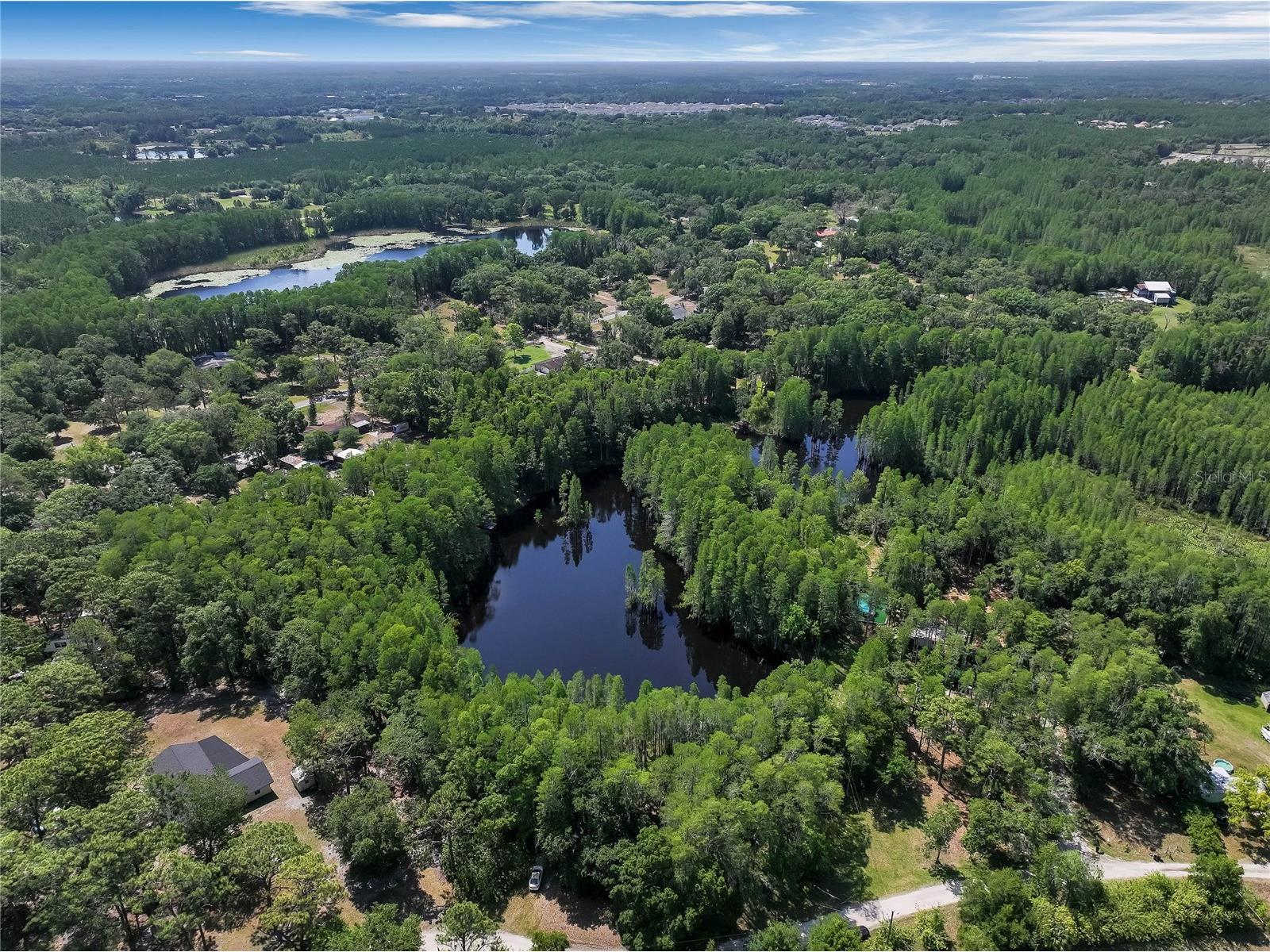 19832 Westwood Lane Land O Lakes FL 34638 O6329356 image21