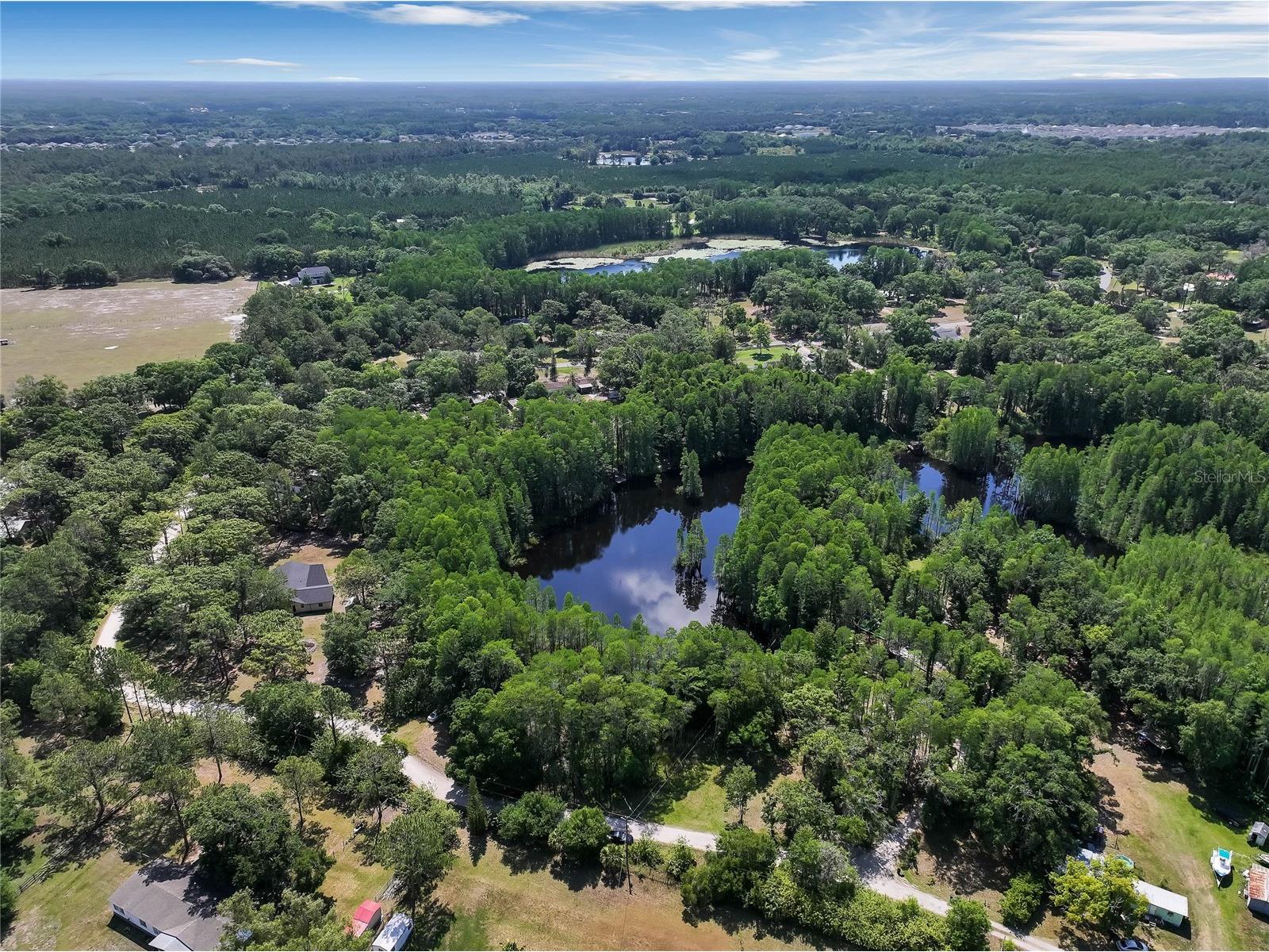 19832 Westwood Lane Land O Lakes FL 34638 O6329356 image22