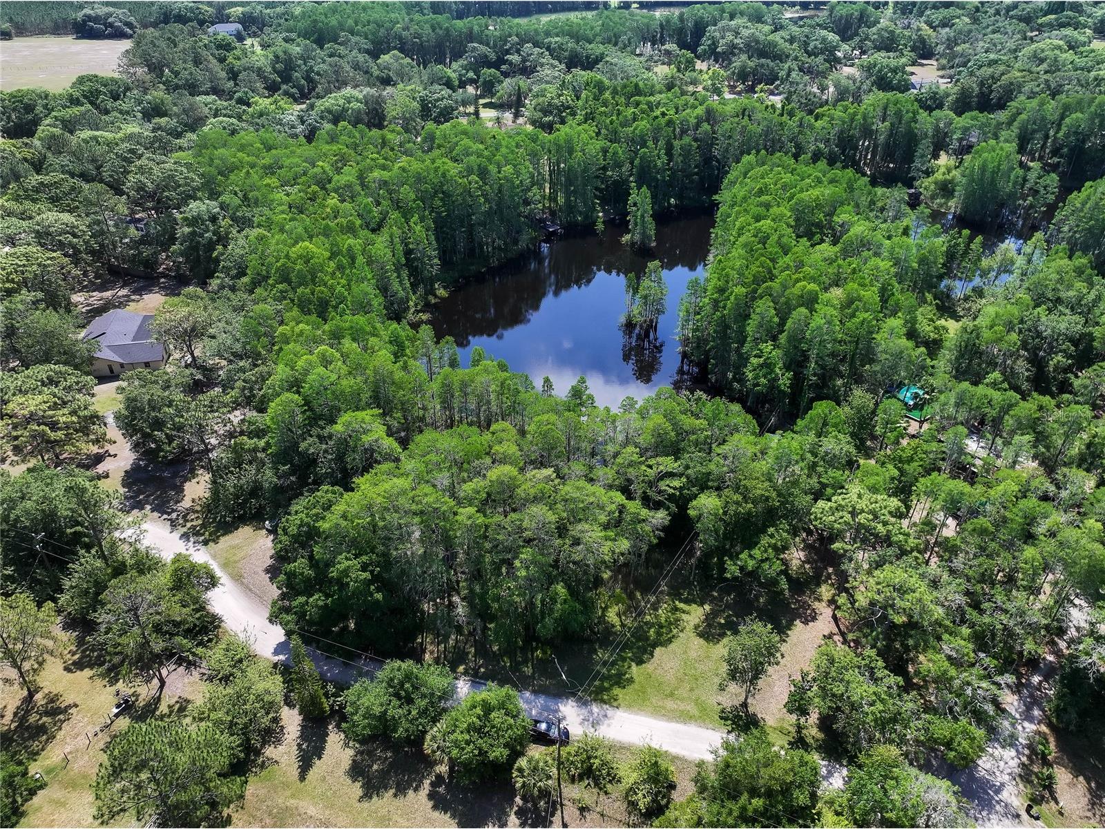 19832 Westwood Lane Land O Lakes FL 34638 O6329356 image23