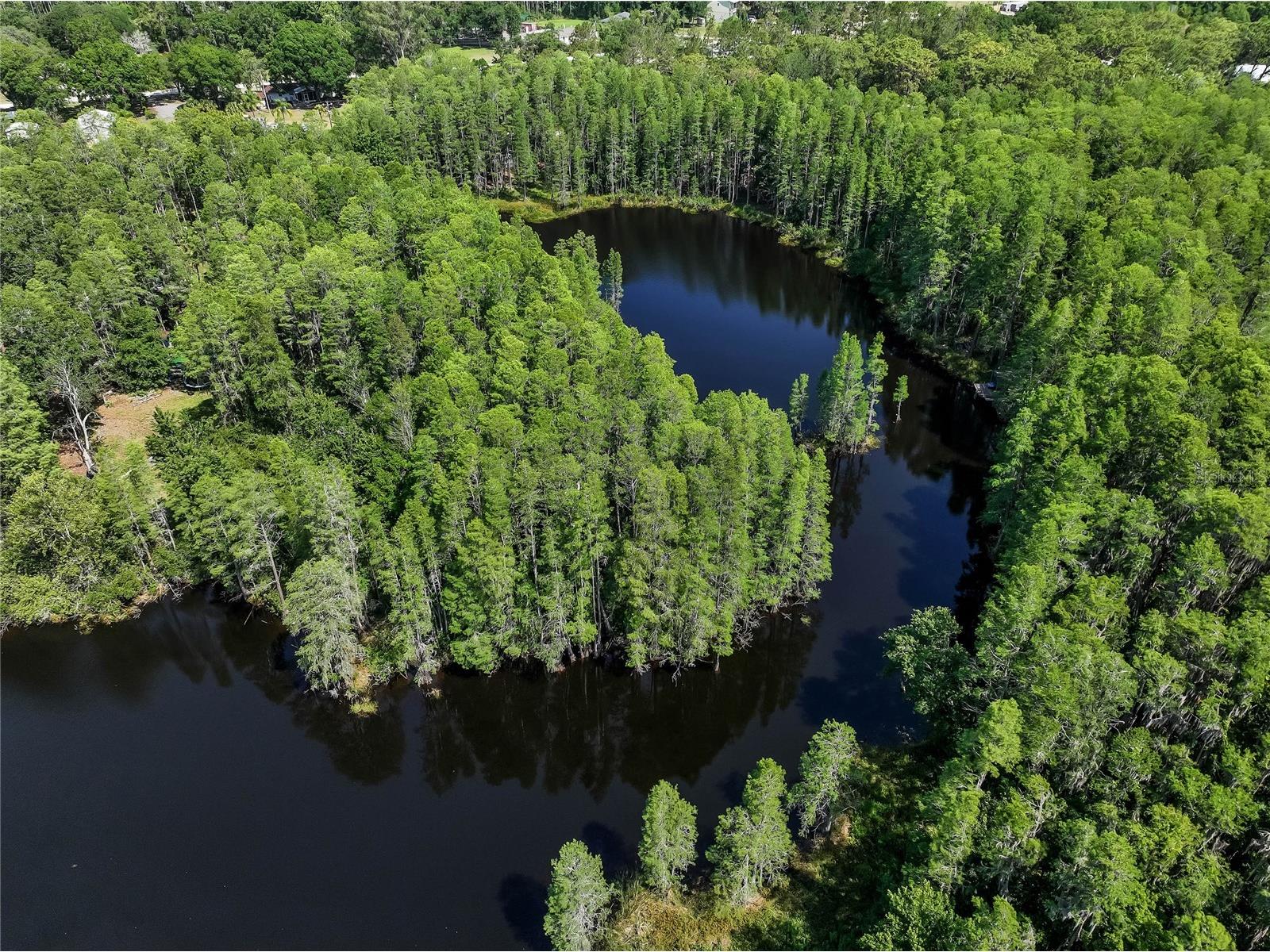 19832 Westwood Lane Land O Lakes FL 34638 O6329356 image25