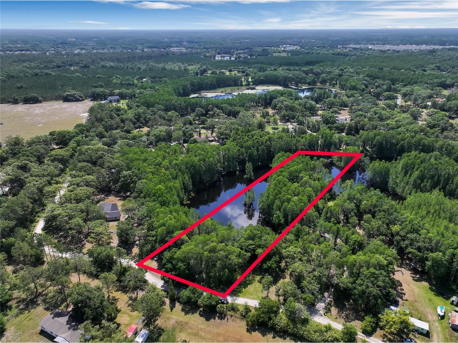 19832 Westwood Lane Land O Lakes FL 34638 O6329356 image3