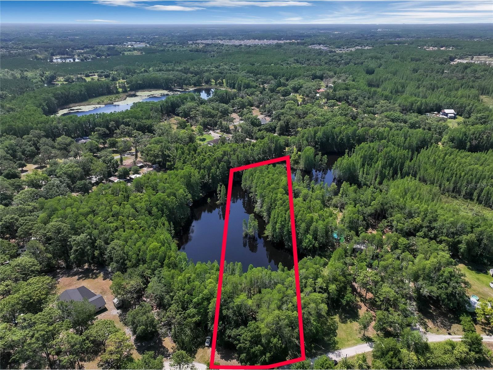 19832 Westwood Lane Land O Lakes FL 34638 O6329356 image4