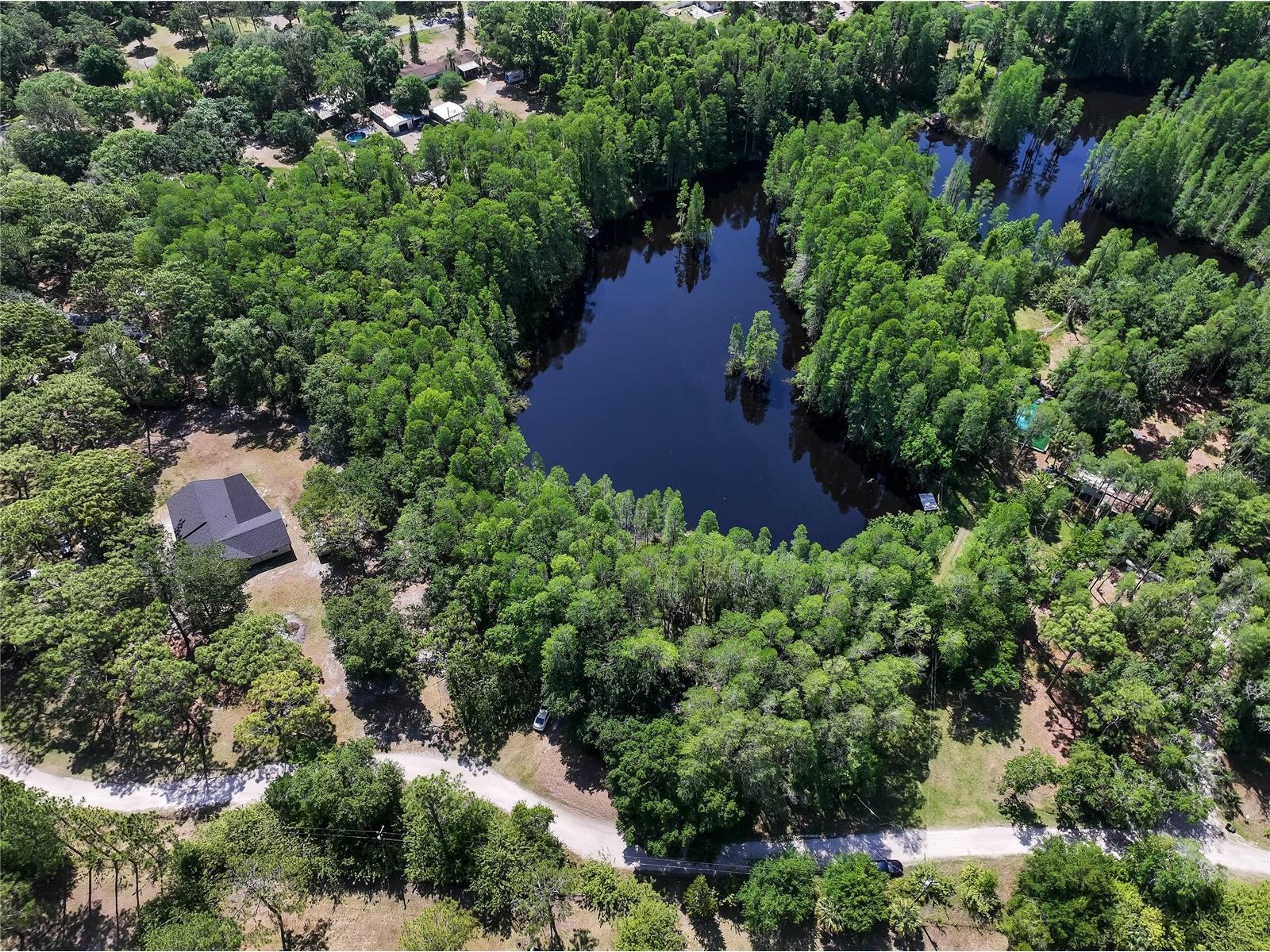 19832 Westwood Lane Land O Lakes FL 34638 O6329356 image5