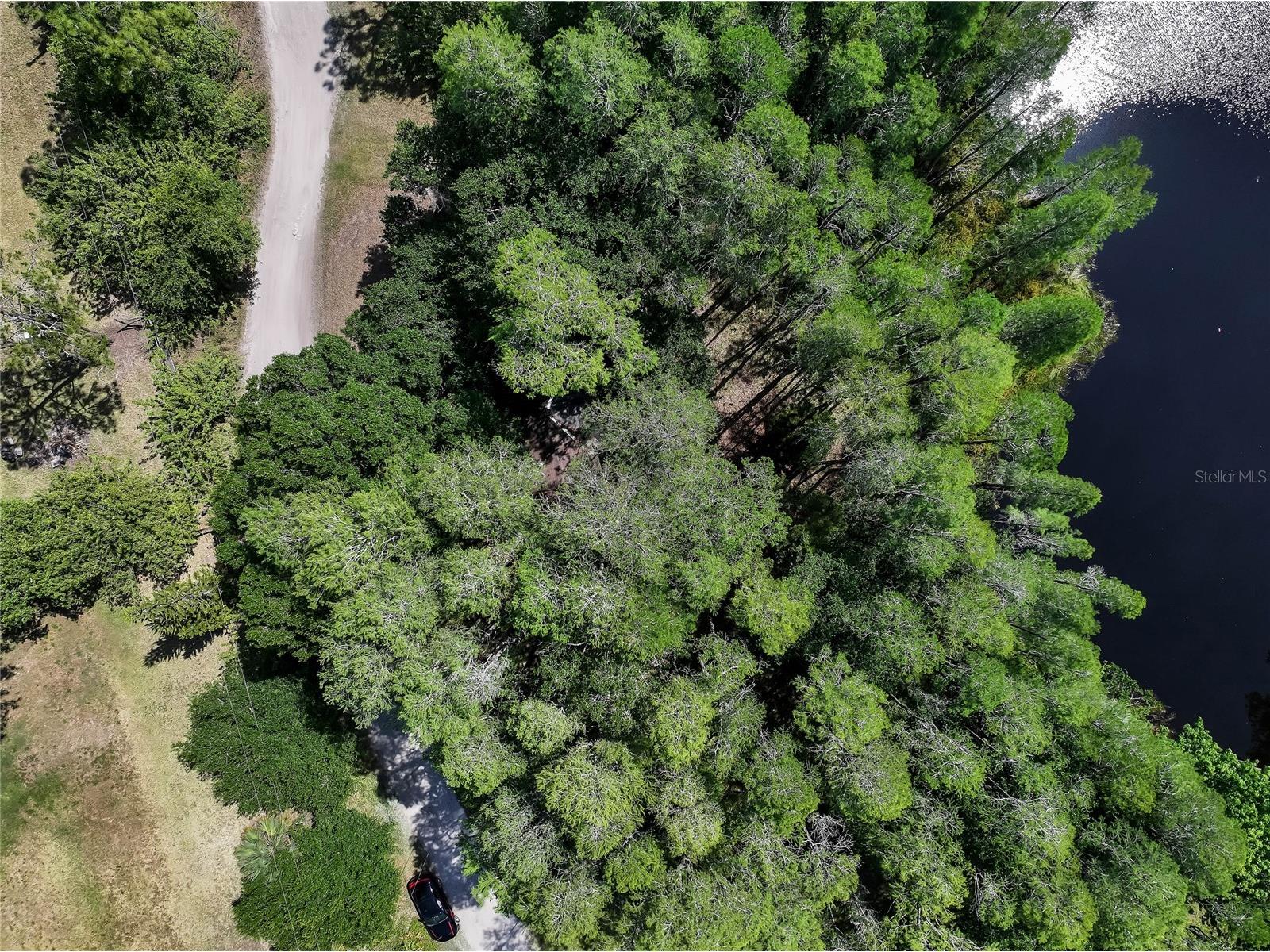 19832 Westwood Lane Land O Lakes FL 34638 O6329356 image6