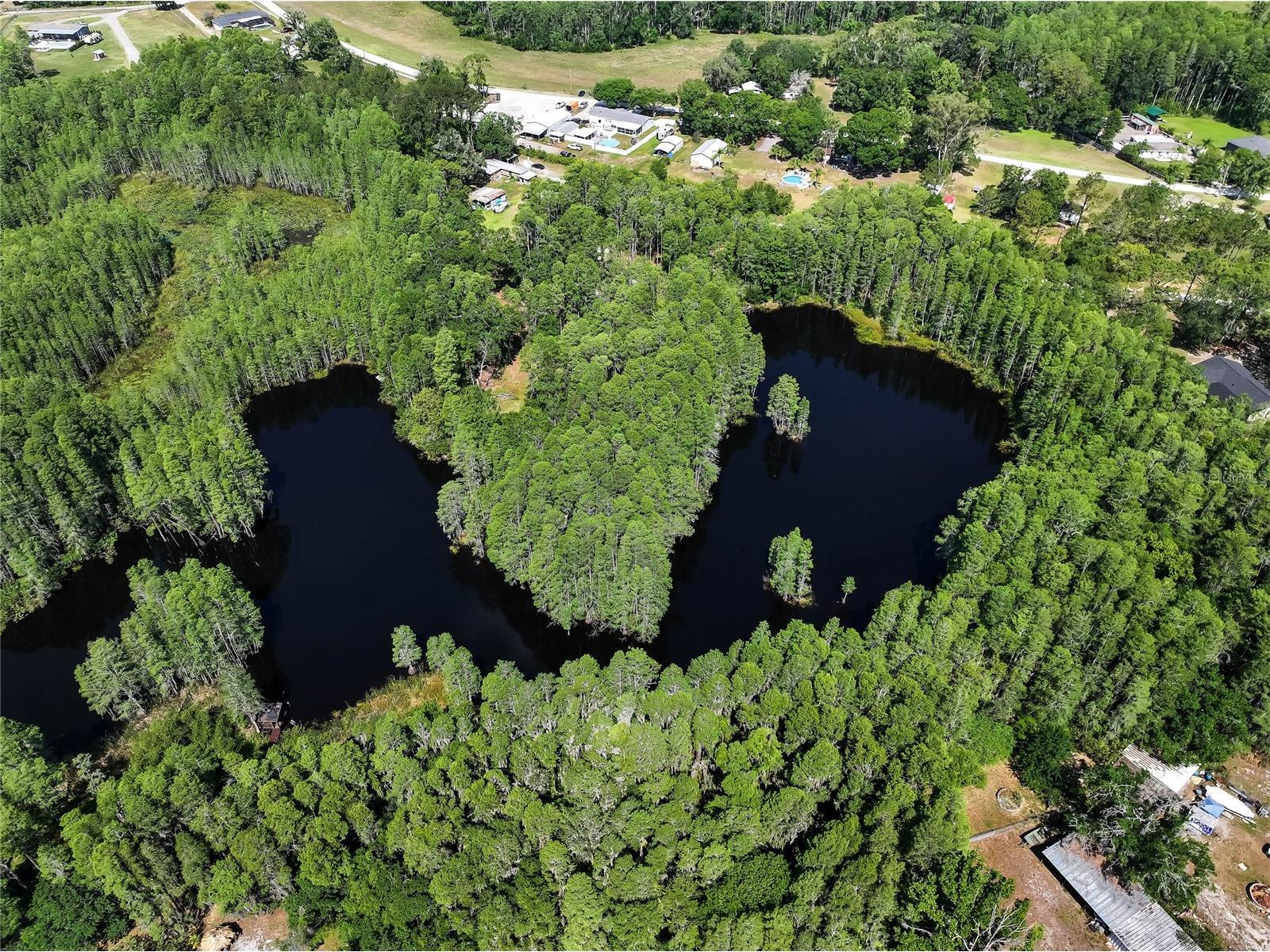 19832 Westwood Lane Land O Lakes FL 34638 O6329356 image7