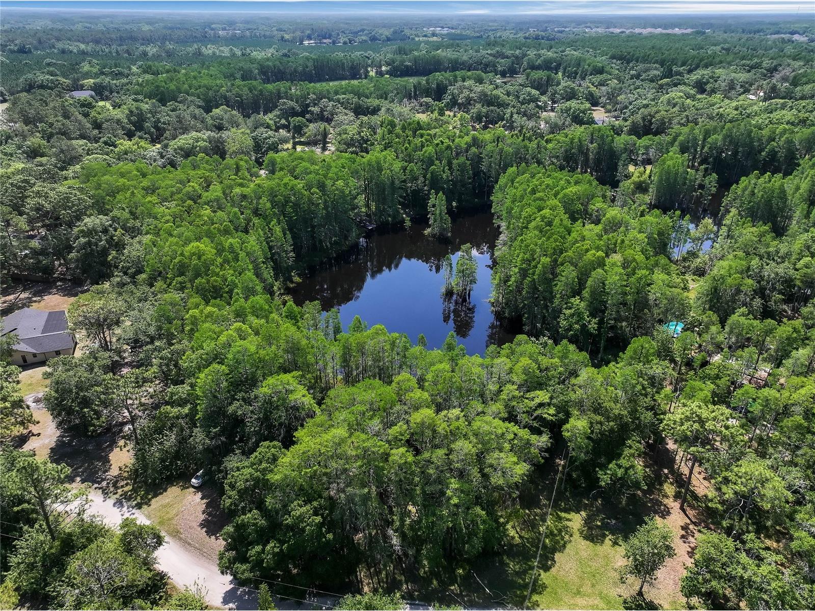 19832 Westwood Lane Land O Lakes FL 34638 O6329356 image8