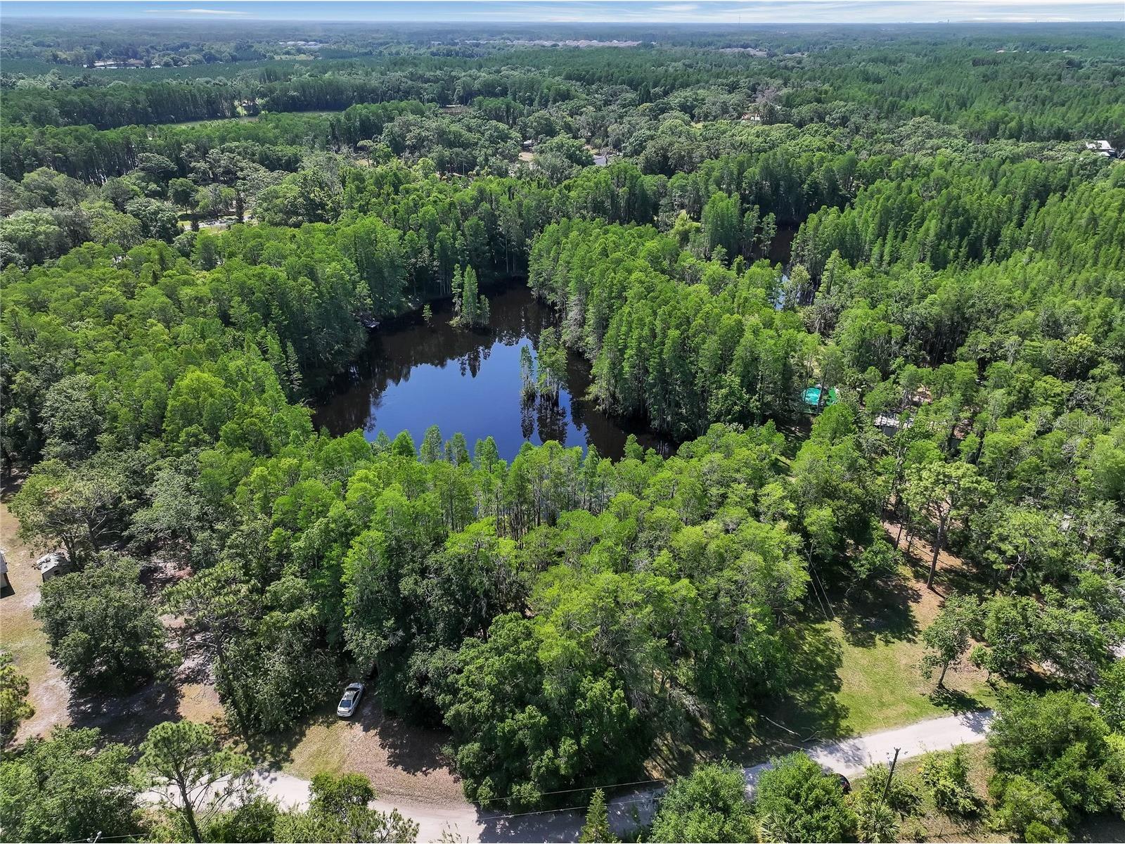 19832 Westwood Lane Land O Lakes FL 34638 O6329356 image9