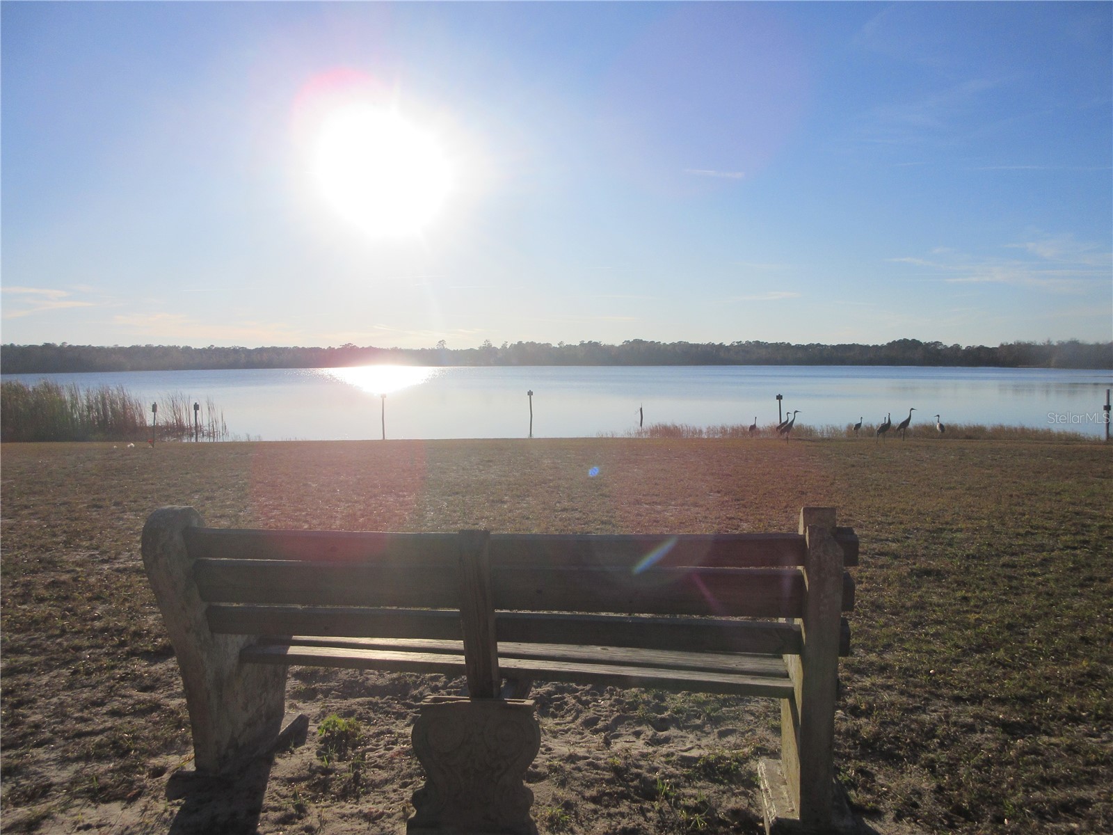 1984 SE 171st Court Silver Springs FL 34488 - North Lake OM717926 image54