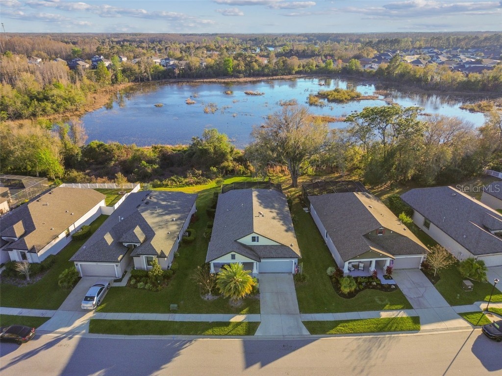 19842 Hidden Glen Drive Land O Lakes FL 34638 T3506500 image1