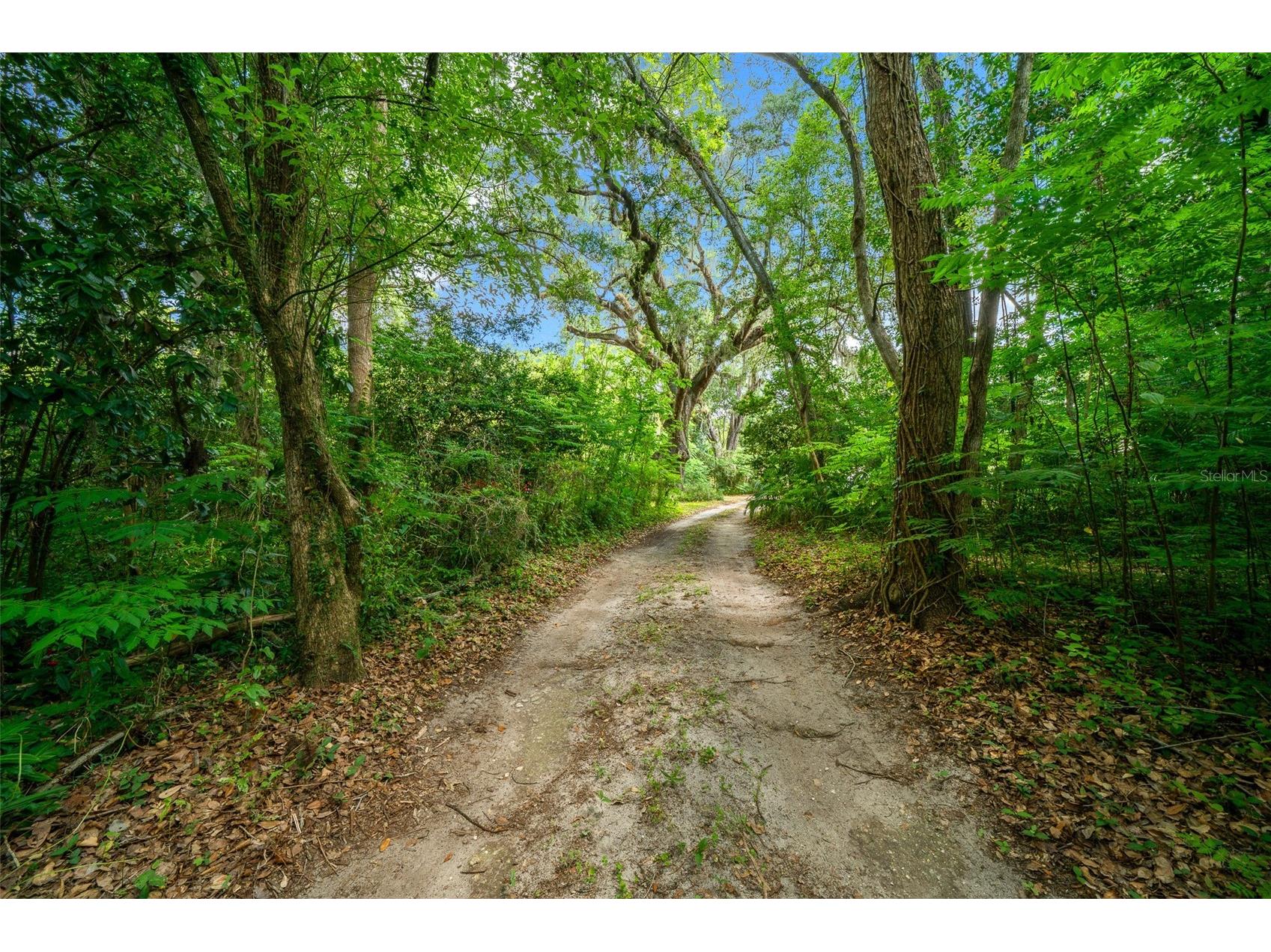 1985 NE 97th Streed Road Anthony FL 32617 OM725739 image3