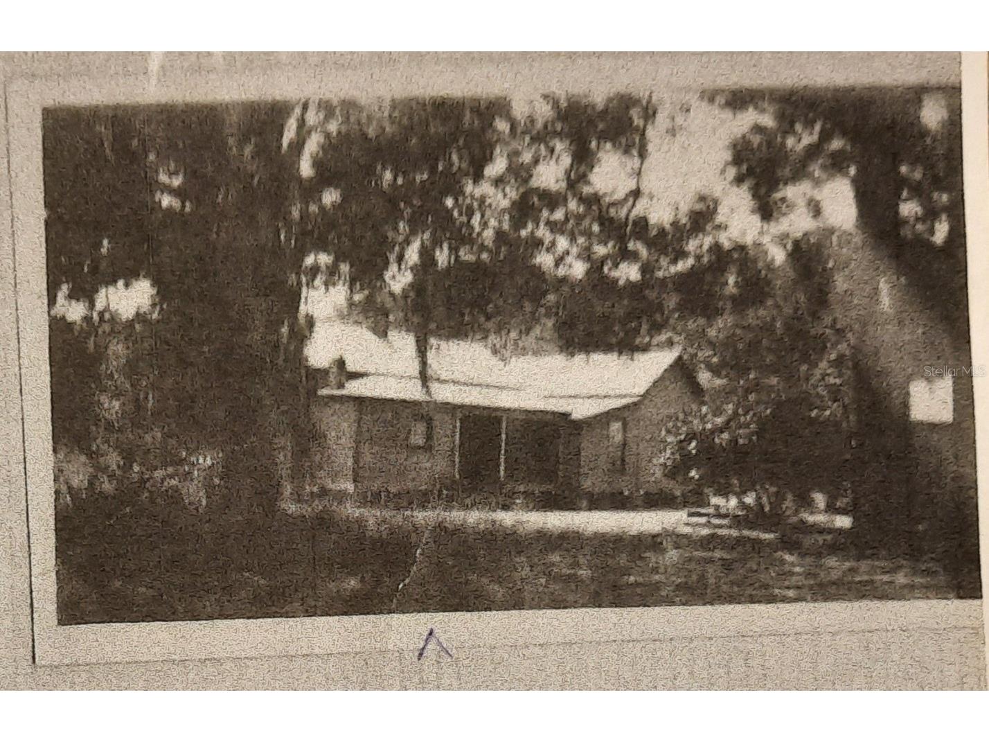 1985 NE 97th Streed Road Anthony FL 32617 OM725739 image43