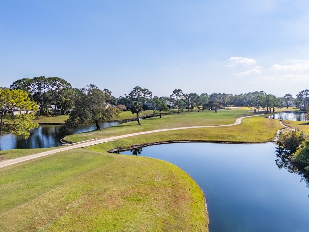 1985 Rutgers Place #1985 Port Orange FL 32128 NS1086652 image48