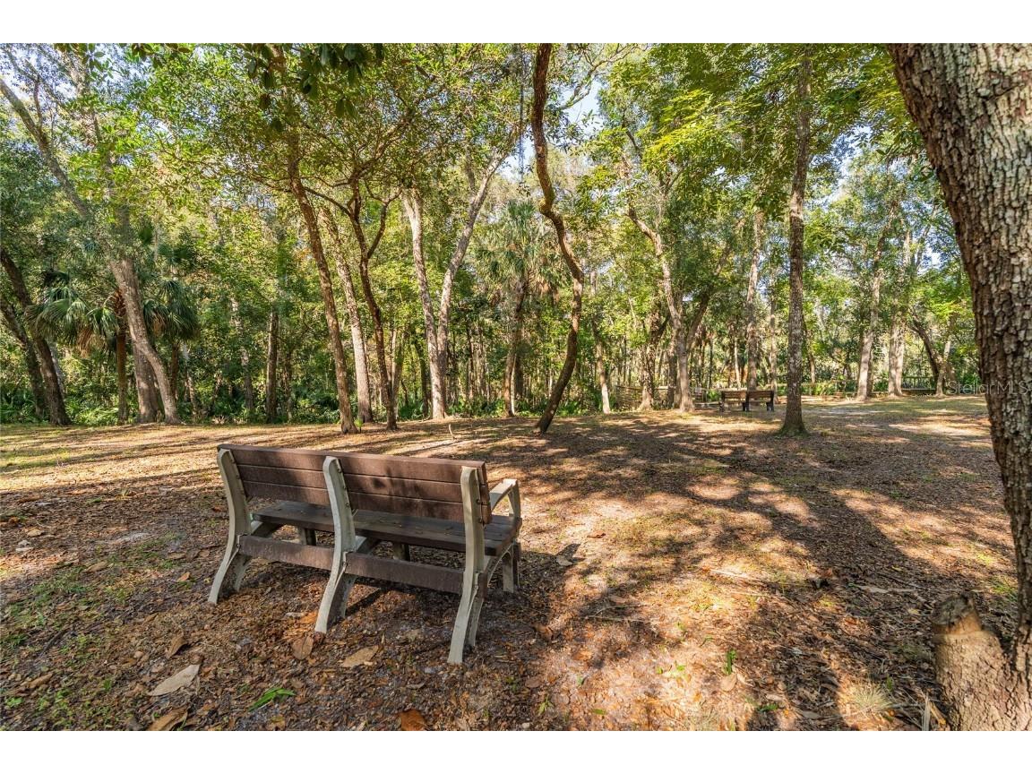 1985 Rutgers Place #1985 Port Orange FL 32128 NS1086652 image51