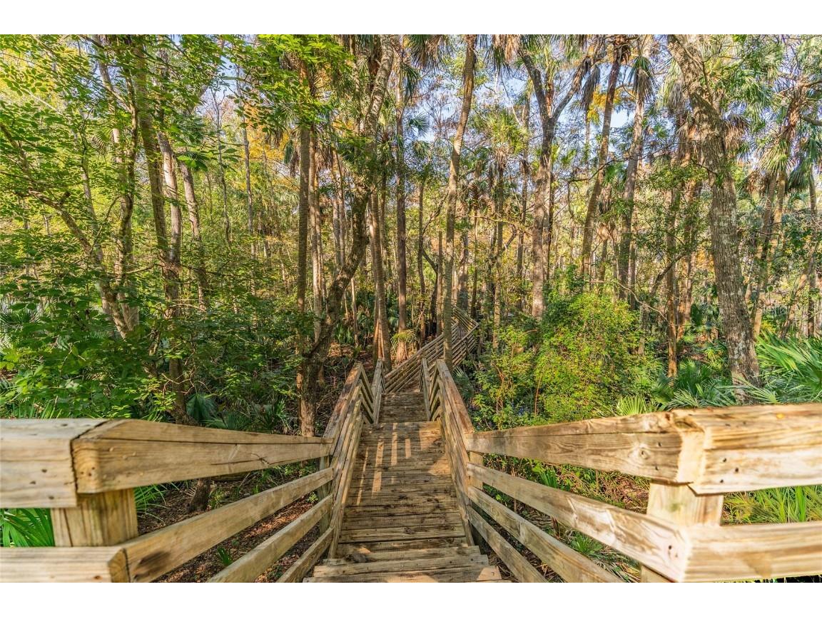 1985 Rutgers Place #1985 Port Orange FL 32128 NS1086652 image52