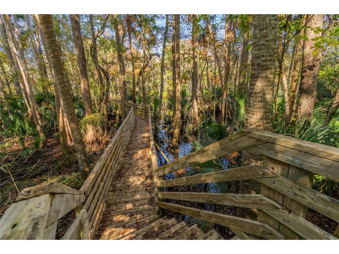 1985 Rutgers Place #1985 Port Orange FL 32128 NS1086652 image53