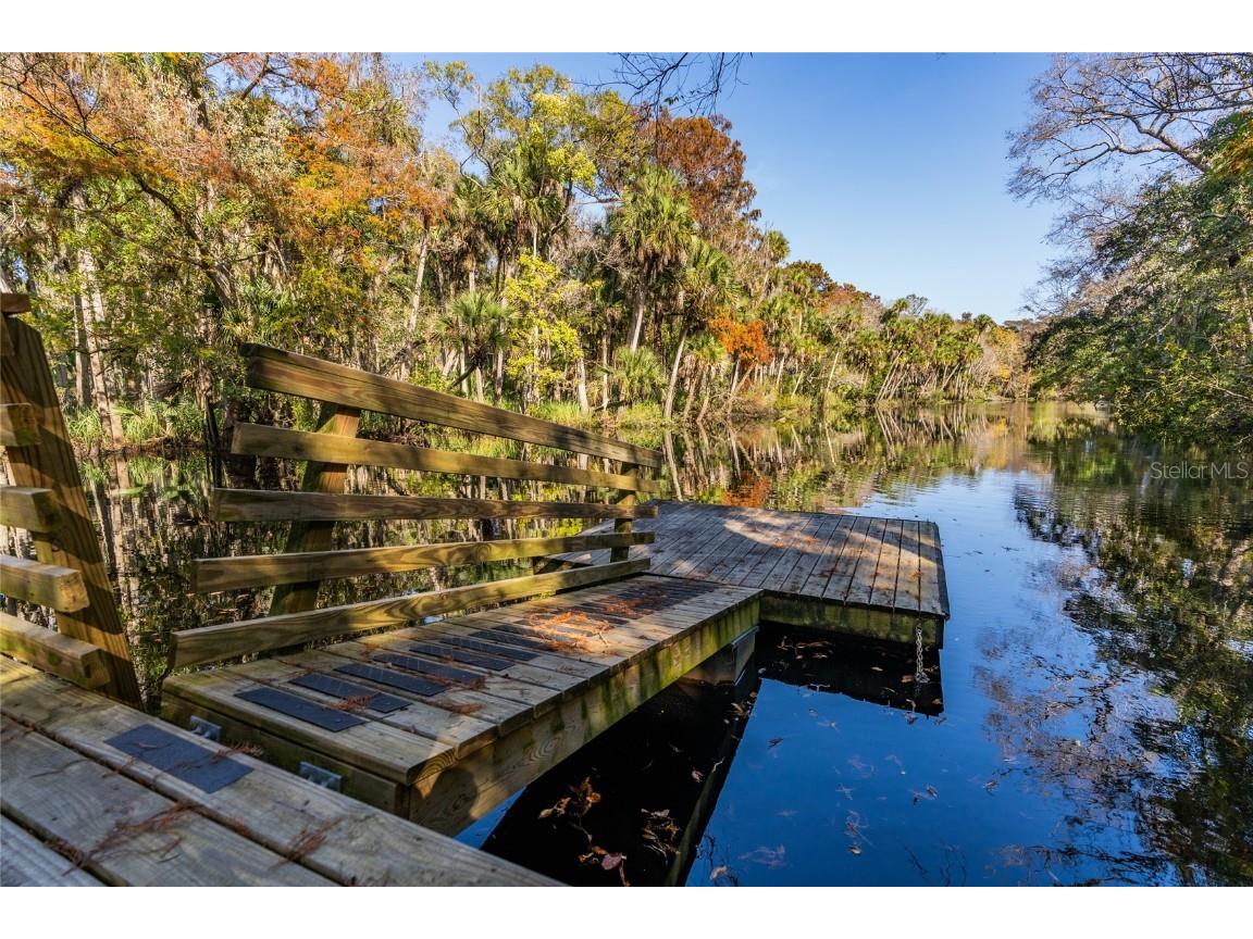 1985 Rutgers Place #1985 Port Orange FL 32128 NS1086652 image54