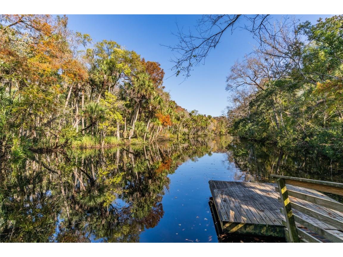 1985 Rutgers Place #1985 Port Orange FL 32128 NS1086652 image55