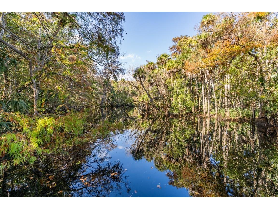 1985 Rutgers Place #1985 Port Orange FL 32128 NS1086652 image56