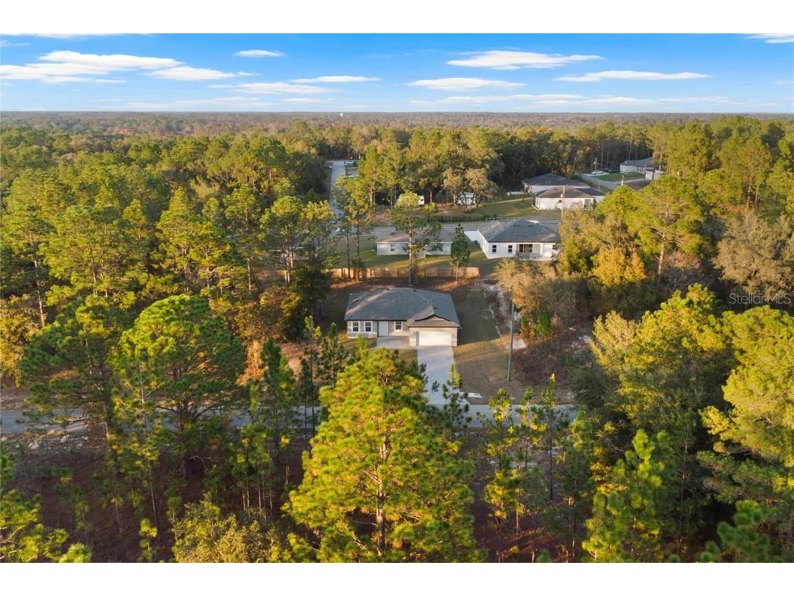 1985 W Corrine Street Citrus Springs FL 34434 O6362199 image4