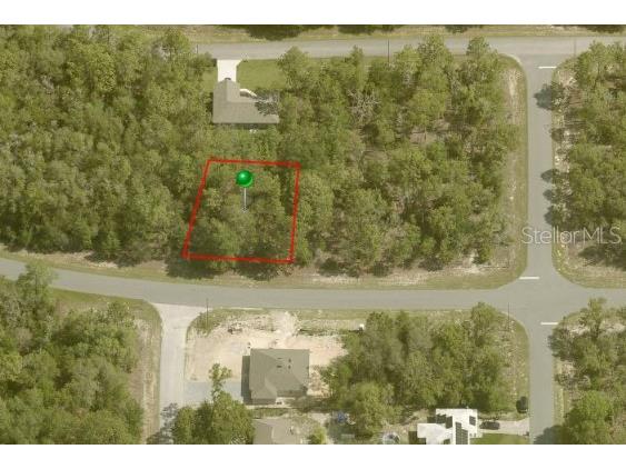 1985 W G Martinelli Boulevard Citrus Springs FL 34434 OM673444 image1