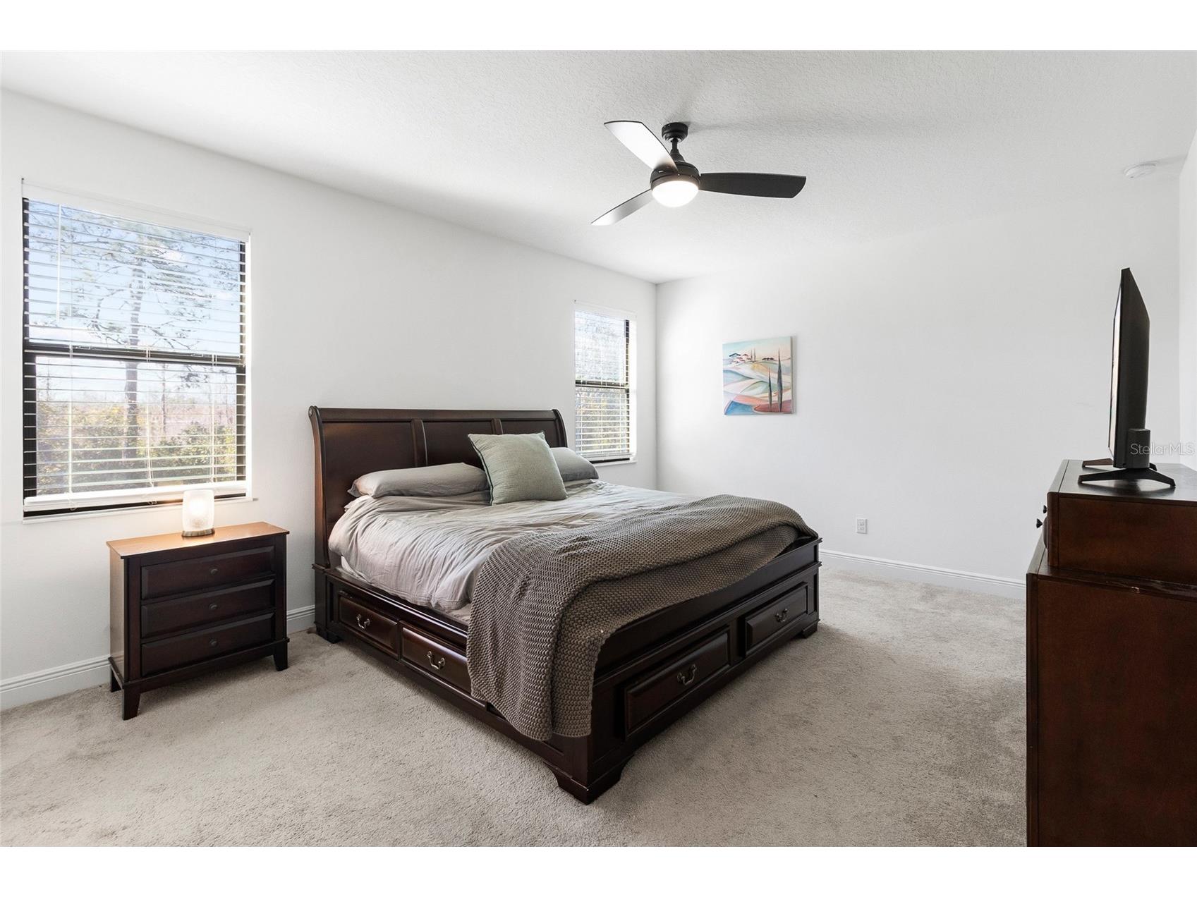 19852 Lonesome Pine Drive Land O Lakes FL 34638 TB8467609 image19