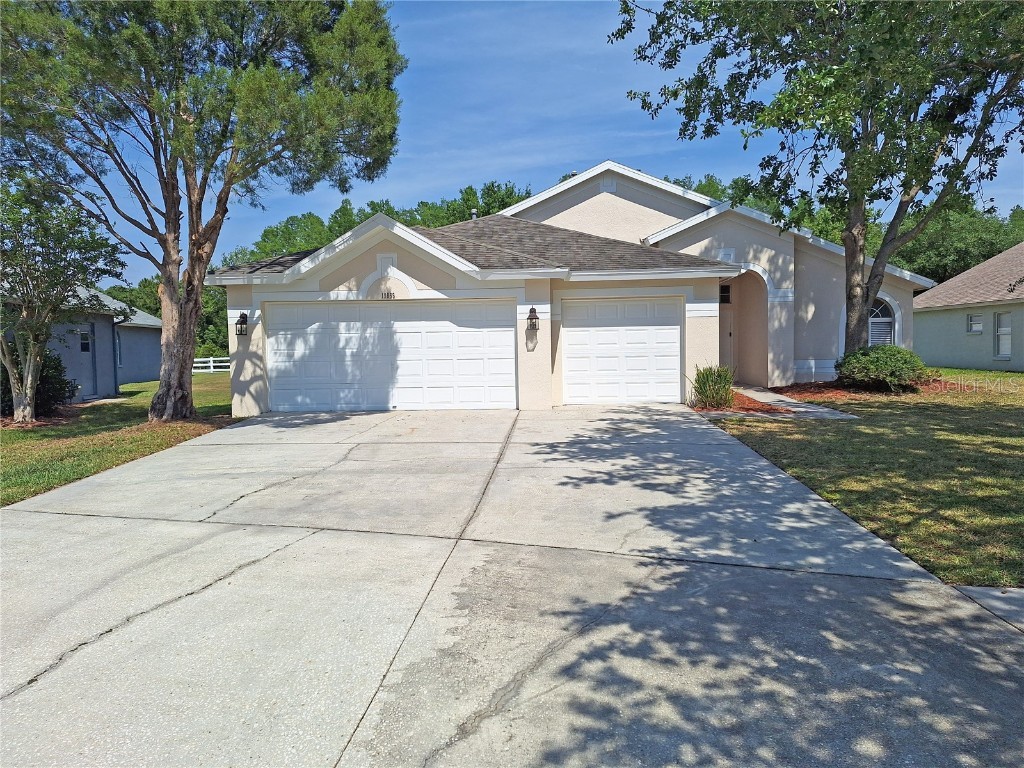 19855 Ellendale Drive Land O Lakes FL 34638 W7875087 image1