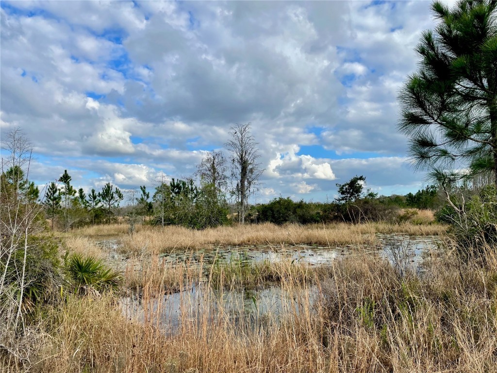 19858 State Road 52 Land O Lakes FL 34637 - Green Lake T3433644 image11