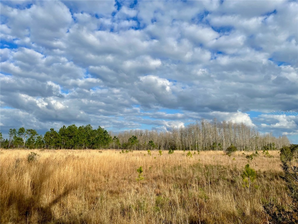 19858 State Road 52 Land O Lakes FL 34637 - Green Lake T3433644 image13