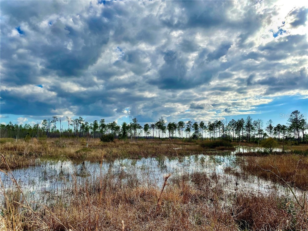 19858 State Road 52 Land O Lakes FL 34637 - Green Lake T3433644 image3