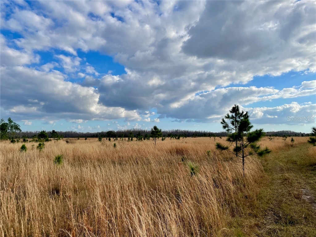 19858 State Road 52 Land O Lakes FL 34637 - Green Lake T3433644 image4