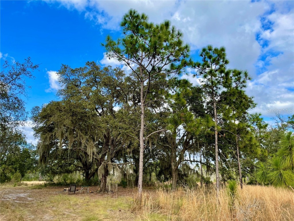 19858 State Road 52 Land O Lakes FL 34637 - Green Lake T3433644 image5