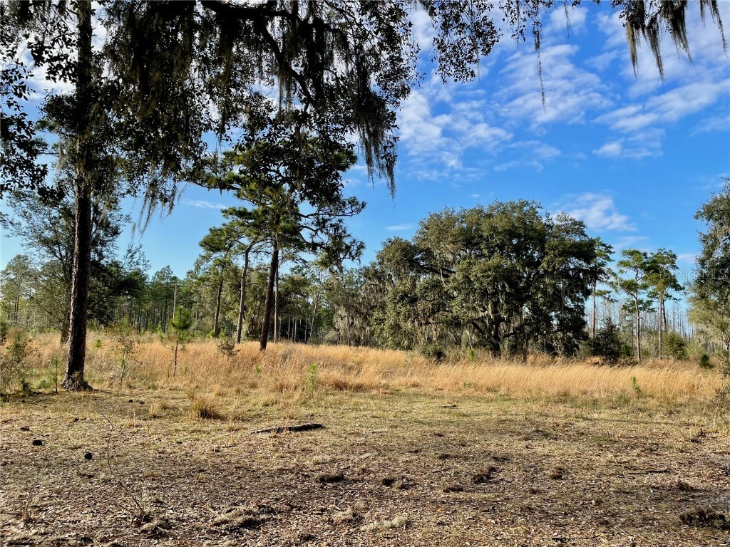 19858 State Road 52 Land O Lakes FL 34637 - Green Lake T3433644 image8