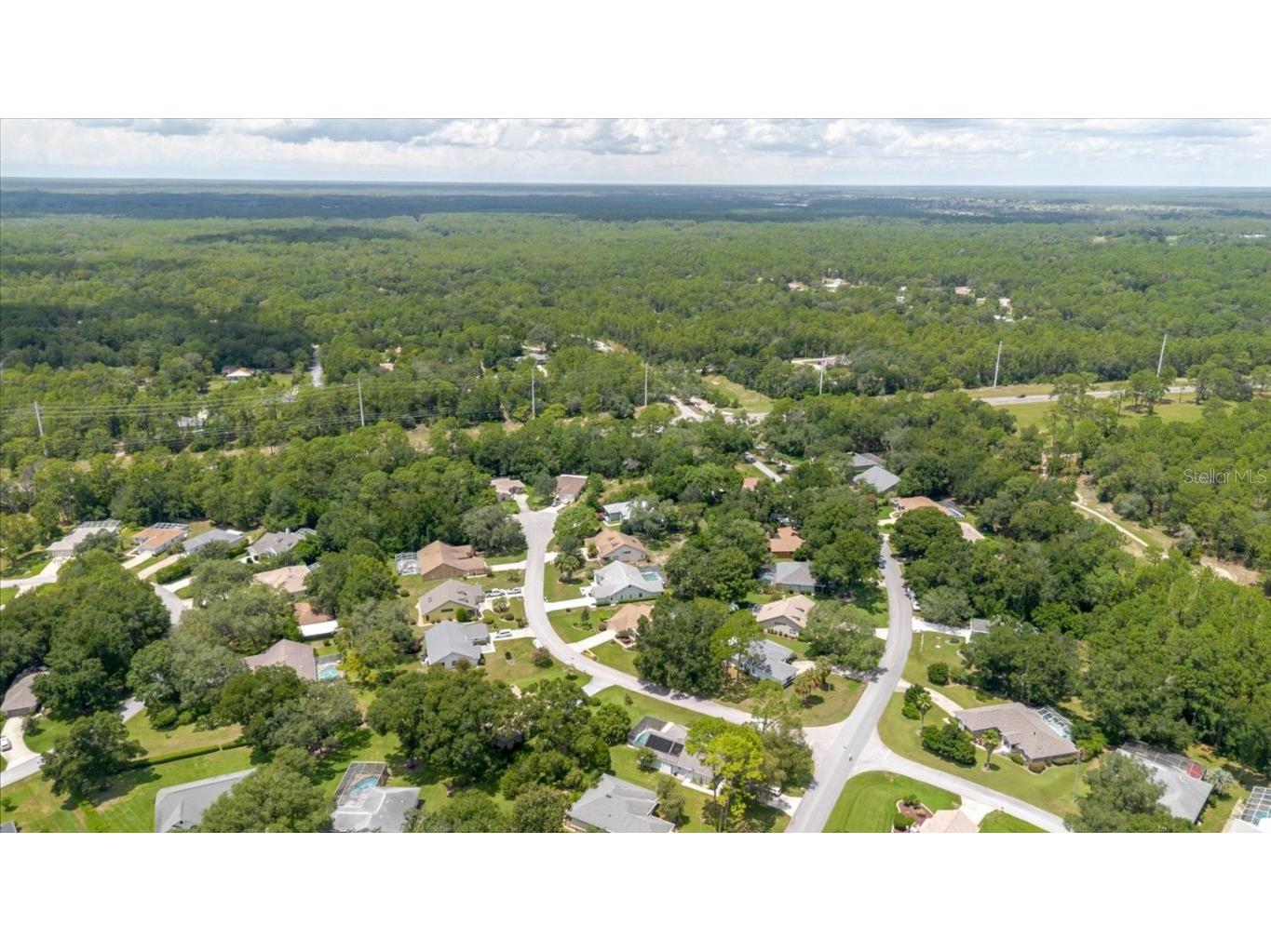 19862 Sw 93rd Lane Rd Dunnellon FL 34432 TB8417431 image41