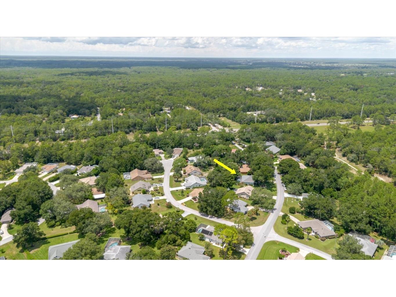 19862 Sw 93rd Lane Rd Dunnellon FL 34432 TB8417431 image42