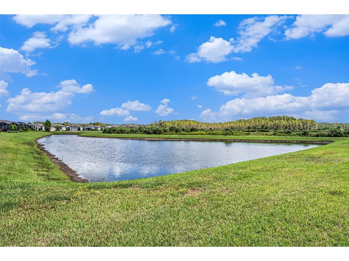 19865 Sea Glass Circle Land O Lakes FL 34638 TB8436640 image23