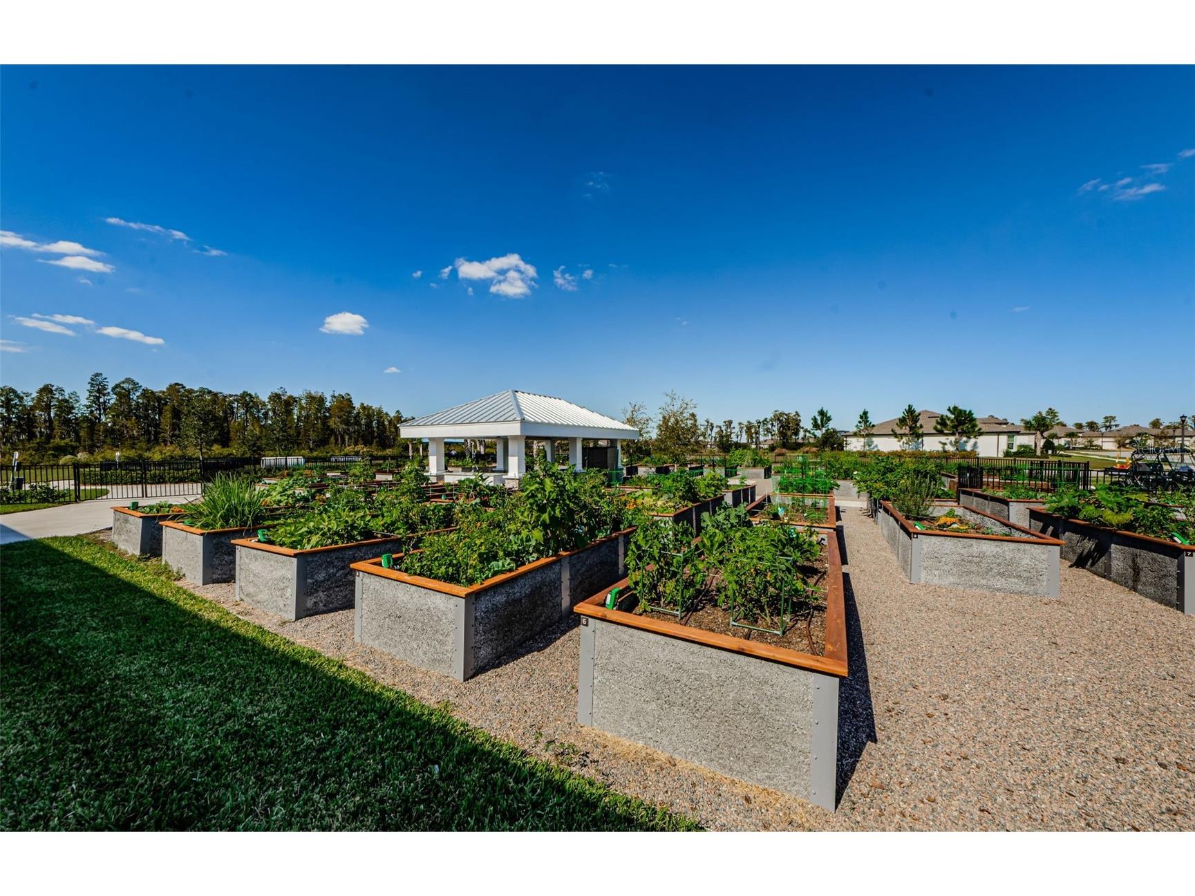 19865 Sea Glass Circle Land O Lakes FL 34638 W7885669 image70