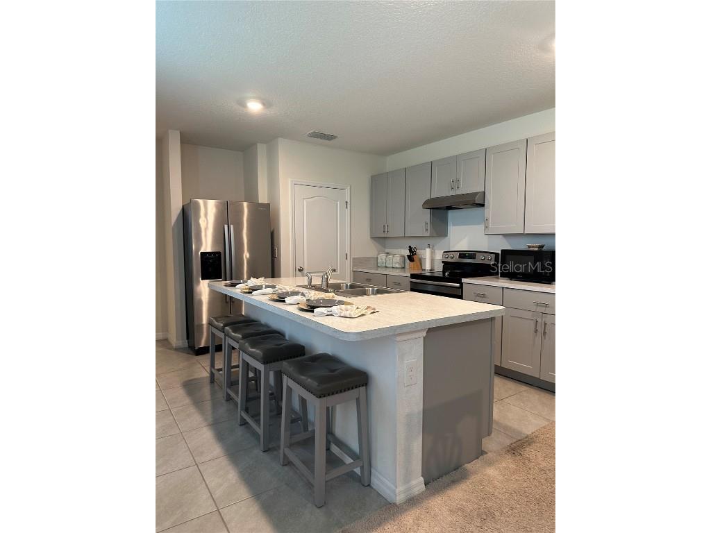 1989 Egret Meadows Avenue Kissimmee FL 34744 S5135013 image4