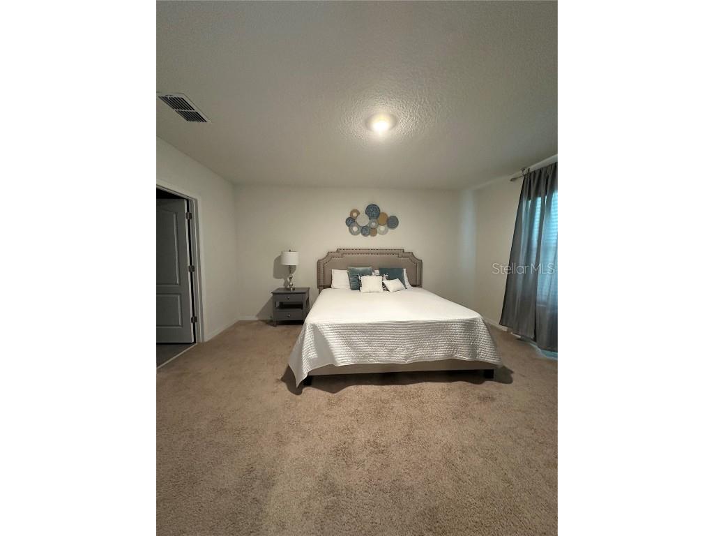 1989 Egret Meadows Avenue Kissimmee FL 34744 S5135013 image8