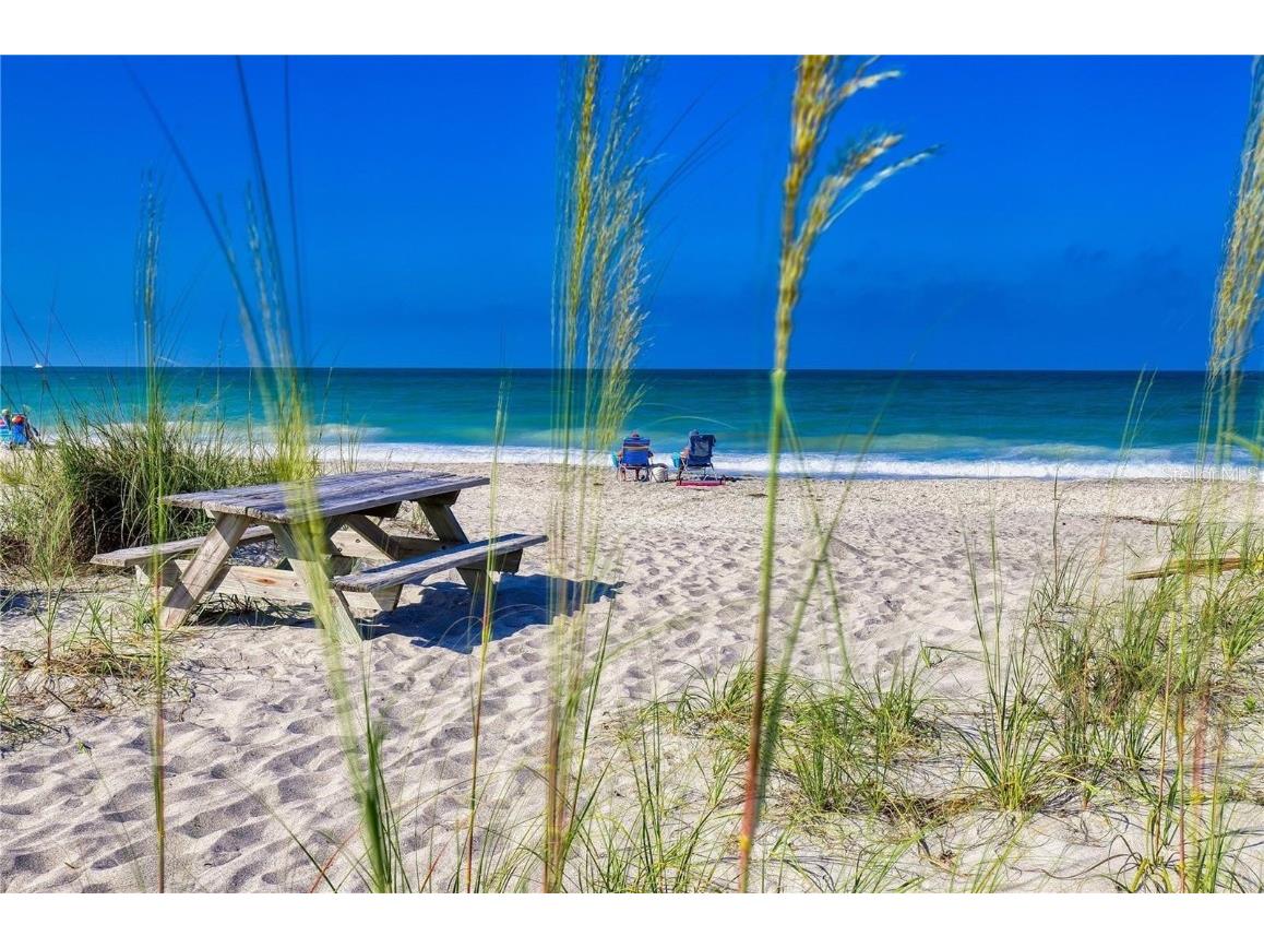 19891 Bridgetown Loop Venice FL 34293 TB8338069 image27