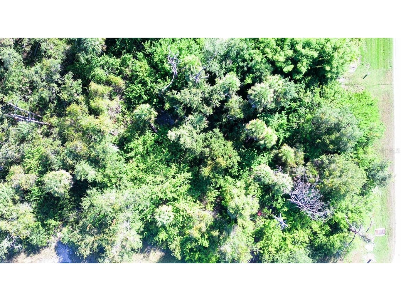 199 Cougar Way Rotonda West FL 33947 C7518424 image2