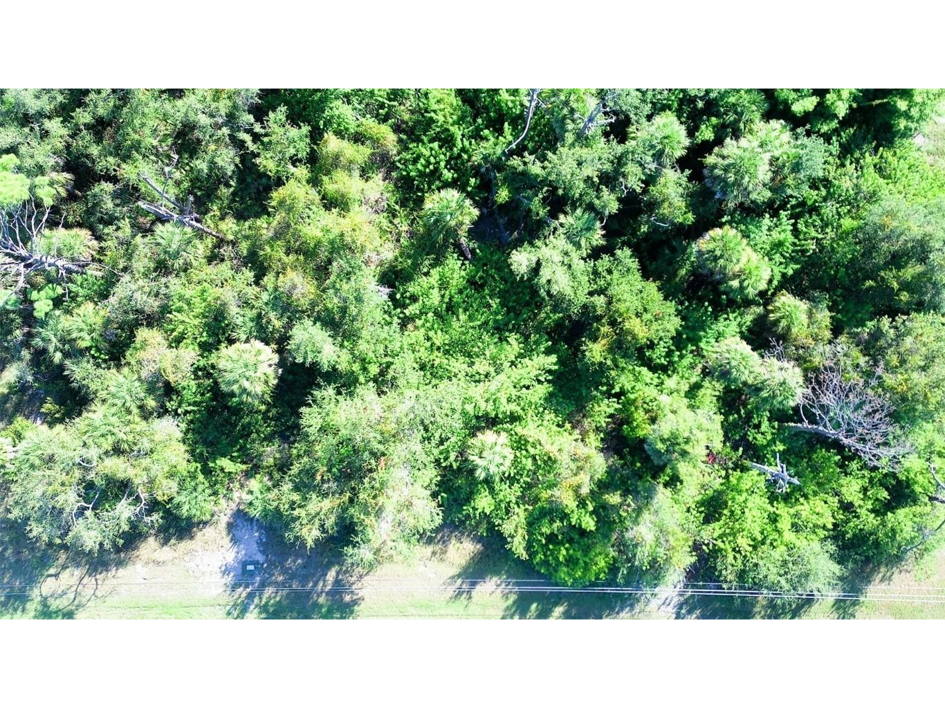 199 Cougar Way Rotonda West FL 33947 C7518424 image4