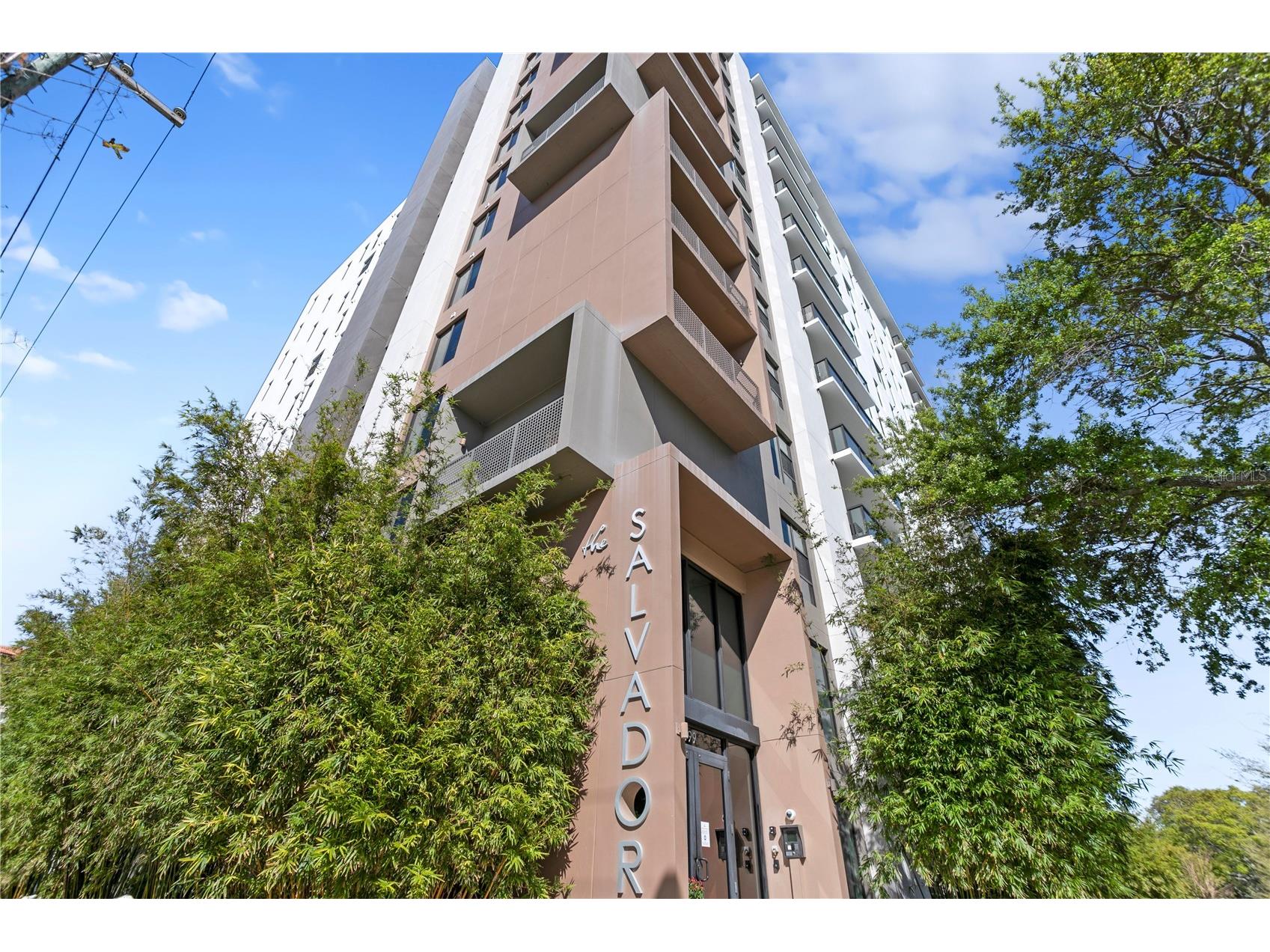 199 Dali Boulevard #1002 Saint Petersburg FL 33701 - TAMPA BAY TB8493503 image41